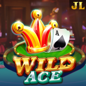Wild Ace Online casino slot